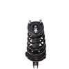 Strut Assembly - image 2