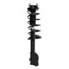 Strut Assembly - image 3