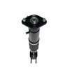 Strut Assembly - image 2