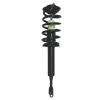 Strut Assembly - image 1