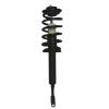 Strut Assembly - image 1