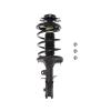 Strut Assembly - image 1