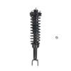 Strut Assembly - image 1