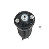 Strut Assembly - image 4