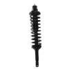 Strut Assembly - image 1