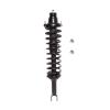 Strut Assembly - image 1