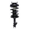Strut Assembly - image 1