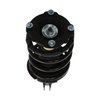 Strut Assembly - image 2