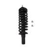 Strut Assembly - image 1