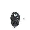 Strut Assembly - image 4