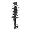Strut Assembly - image 1