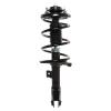 Strut Assembly - image 1