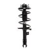 Strut Assembly - image 1