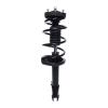 Strut Assembly - image 1