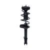 Strut Assembly - image 1