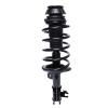 Strut Assembly - image 1