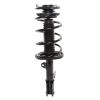 Strut Assembly - image 1