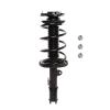 Strut Assembly - image 1