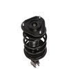Strut Assembly - image 3