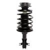 Strut Assembly - image 1