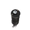 Strut Assembly - image 3