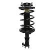 Strut Assembly - image 1