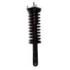 Strut Assembly - image 1