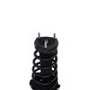 Strut Assembly - image 3