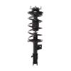 Strut Assembly - image 1