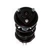 Strut Assembly - image 2