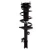 Strut Assembly - image 1