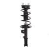 Strut Assembly - image 1