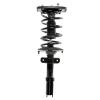 Strut Assembly - image 1
