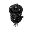 Strut Assembly - image 2