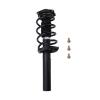 Strut Assembly - image 1