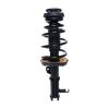 Strut Assembly - image 1