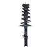 Strut Assembly - image 1