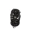 Strut Assembly - image 3