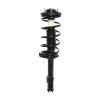 Strut Assembly - image 1