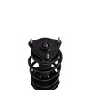 Strut Assembly - image 3