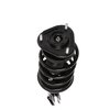 Strut Assembly - image 3