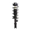 Strut Assembly - image 1