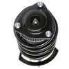 Strut Assembly - image 2