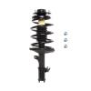 Strut Assembly - image 1