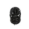Strut Assembly - image 3