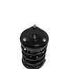 Strut Assembly - image 2