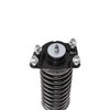 Strut Assembly - image 2