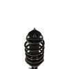 Strut Assembly - image 2