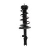 Strut Assembly - image 1