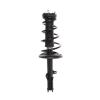 Strut Assembly - image 1